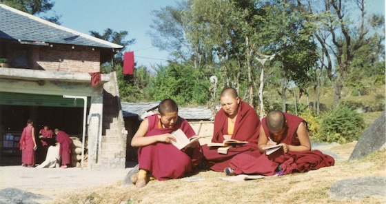 Tibetan Buddhist nuns at Dolma Ling in 1993 by Julie Brittain