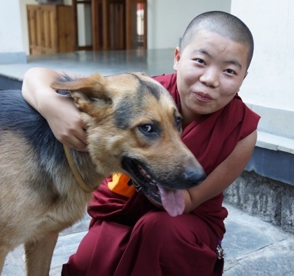 Tibetan Buddhist nun and dog