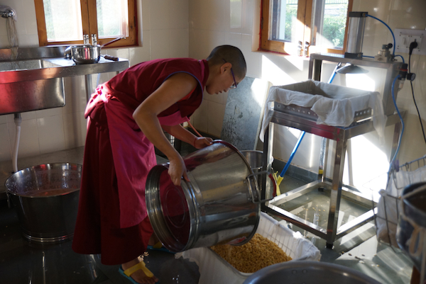Tibetan Buddhist nun making tofu