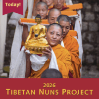 2025 TNP Calendar Pre-Order