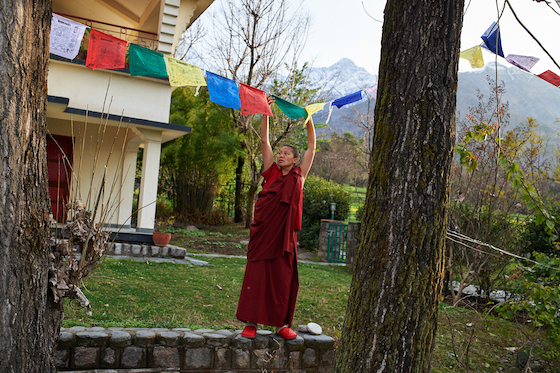 windhorse prayer flags, A Tibetan Buddhist nun hangs windhorse prayer flags at the nunnery