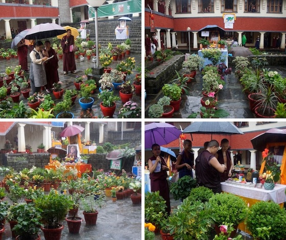 Annual flower competition for the Dalai Lama's birthday at Dolma Ling Nunnery July 6 2025