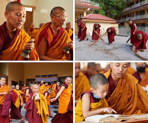 A collage of photos by Olivier Adam showing life at Geden Choeling Nunnery.