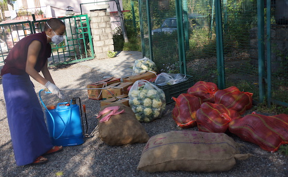 coronavirus lockdown, life under lockdown, Tibetan Buddhist nun, Dolma Ling