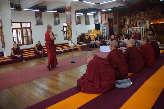 Geshema, Geshema degree, Geshema exams 2018, Tibetan women, Tibetan nuns, Buddhist nuns, Tibetan Nuns Project, women and Buddhism