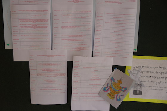 good luck messages for the Geshema candidates, good luck messages to nuns, Geshema, Geshema exams, Tibetan Buddhist nun, Tibetan Buddhism, Tibetan Nuns Project