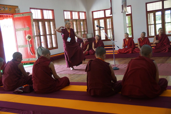 nun debating, Tibetan Buddhist debate, Geshema, Geshema exams, Tibetan Buddhist nun, Tibetan Buddhism, Tibetan Nuns Project