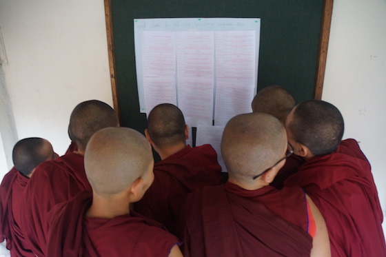 good luck messages for the Geshema candidates, good luck messages, Geshema, Geshema degree, Buddhist nuns, Tibetan nuns, Tibetan Nuns Project, Geshema exams