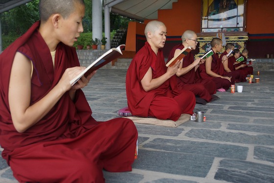 Tibetan Buddhist nuns, Saga Dawa, reading words of the Buddha