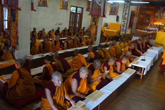Tibetan Buddhist nuns praying at Dolma Ling Nunnery