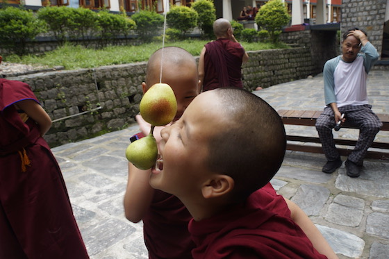 games to celebration the Dalai Lama's birthday