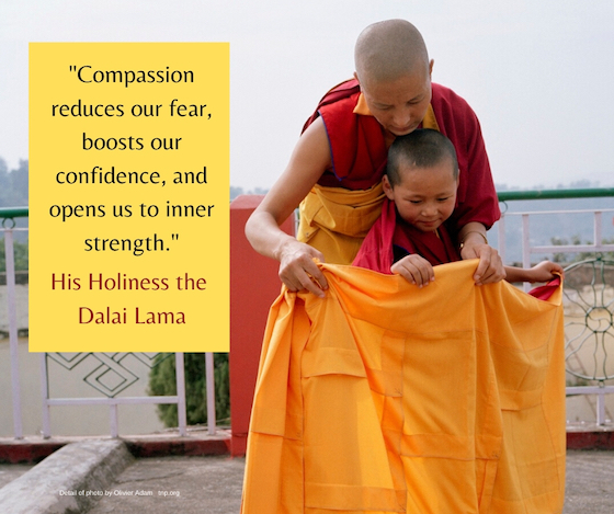 Dalai Lama inspirational quote on compassion