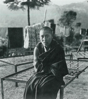 Delek Palmo, refugee nuns, Tibetan Nuns Project, escape from Tibet