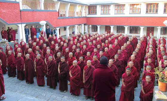 Dolma Ling Nunnery and Institute near Dharamsala