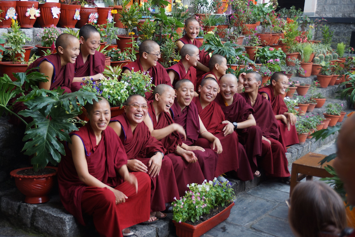 Dolma Ling Nunnery, Dolma Ling nuns, Tibetan Nuns Project, Tibetan Buddhist nunnery