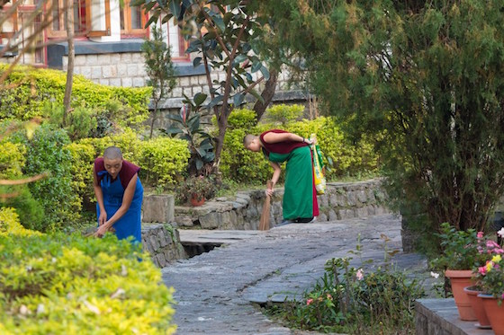 Dolma Ling Nunnery, Tibetan Buddhist nuns, coping with the monsoon