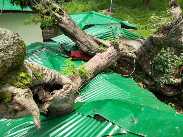 Roof at Shugsep Nunnery and Institute crushed by a tree