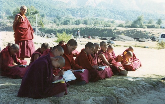 Tibetan Buddhist nuns study outdoors at Dolma Ling Nunnery 1993 by Julie Brittain
