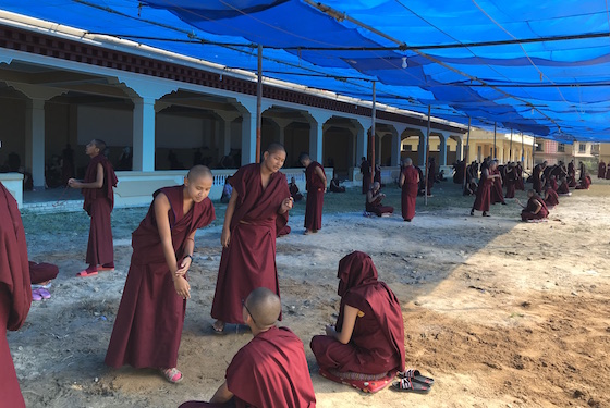 2018 Inter-Nunnery Debate, Jang Gonchoe, Kopan Nunnery, Tibetan nuns, Tibetan Buddhist debate, inter-nunnery debate, Buddhist nunnery