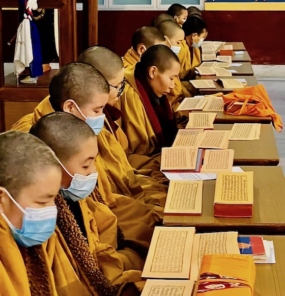 Sakya College for Nuns, Tibetan Buddhist nuns, Kangyur, 