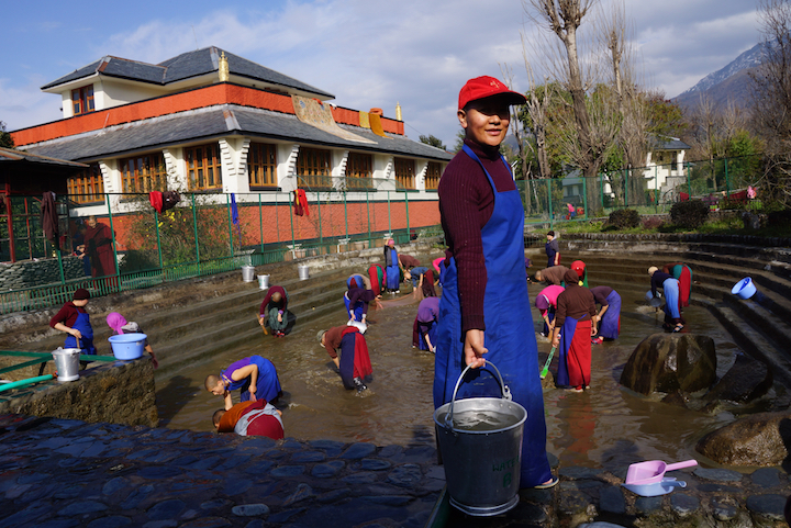 Tibetan Nuns Project, Tibetan Buddhism, nuns, Nuns' Media Team, Dolma Ling Nunnery, Tibetans