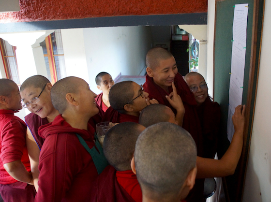 Geshema, Geshema exams, 2018 Geshema exam results, Dolma Ling Nunnery, Tibetan Nuns Project