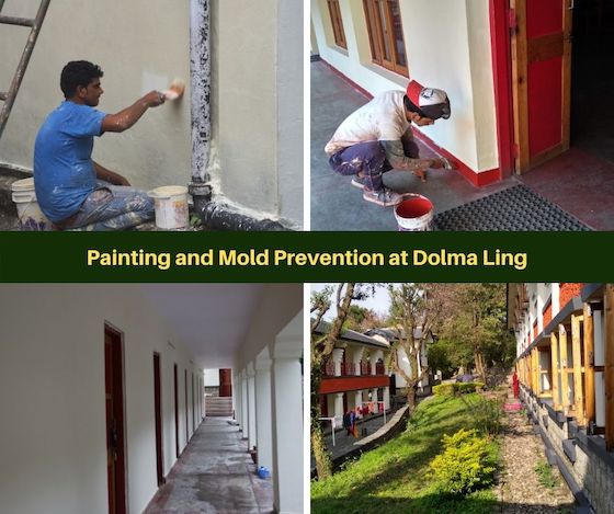 painting the Tibetan nunnery