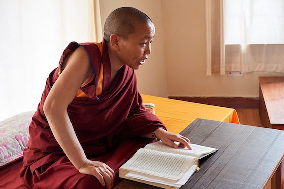 Portrait-of-Geshema-Delek-Wangmo-by-Olivier-Adam.