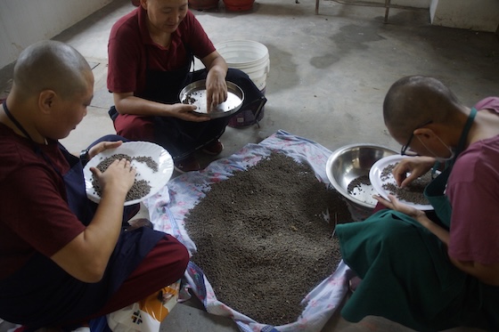 Preparing food for 2025 Geshema exam candidates