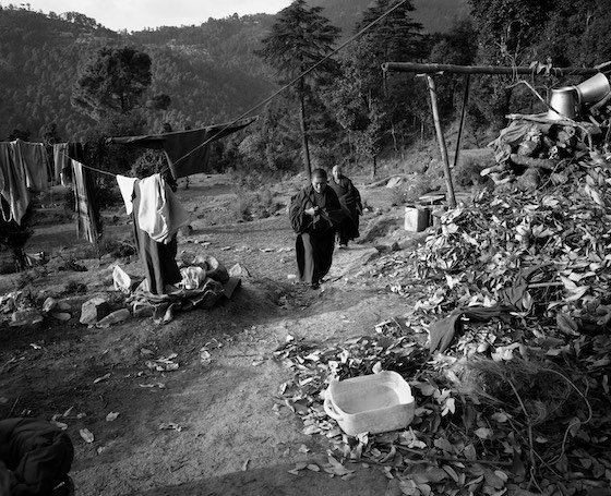 Refugee Tibetan Buddhist nuns, Tibetan refugees, Tibetan Buddhist nuns, Dharamsala