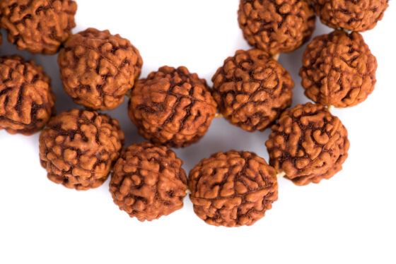 Rudraksha Mala Beads Rudraksha mala for prayer, meditation, and chanting, blessed by Tibetan nuns