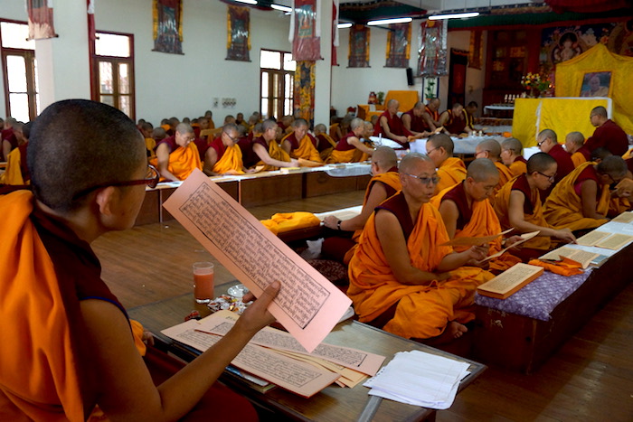 reading the Kangyur, Tibetan Buddhist holidays, Tibetan nuns, Tibetan Nuns Project, Dolma Ling, Saga Dawa