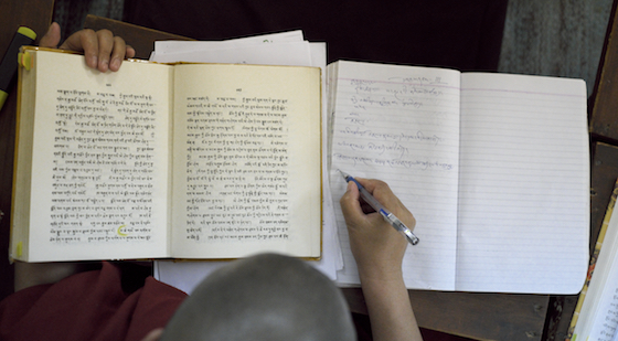 Tibetan, Tibetan language, Tibetan Nuns Project, Tibetan Buddhist nuns