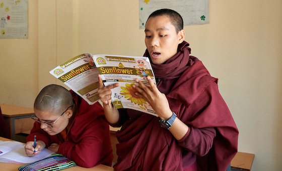 Tibetan Buddhist nun reading an English textbook.