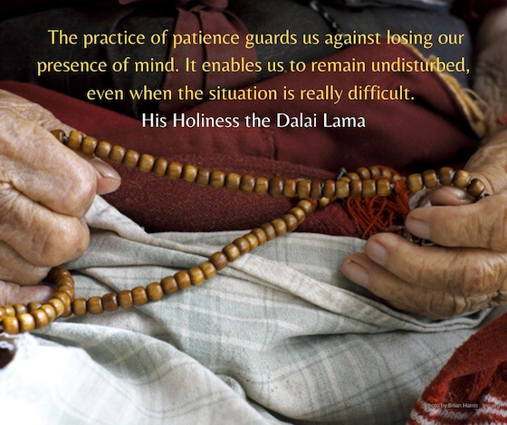 inspirational quote, Dalai Lama, patience, The practice of patience guards us against losing our presence of mind. It enables us to remain undisturbed, even when the situation is really difficult