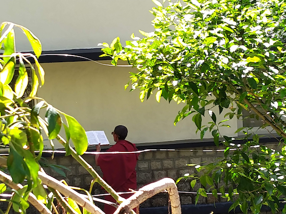 Tibetan Buddhist nun coronavirus lockdown update, COVID-19 lockdown