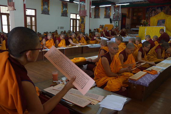 Tibetan Buddhist nuns at Dolma Ling reading the words of the Buddha