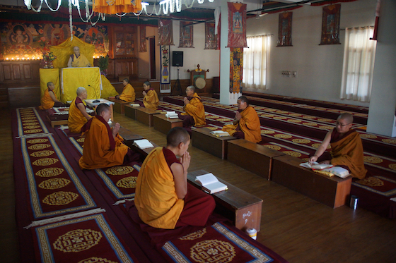 Tibetan Buddhist nuns at Dolma Ling social distance and pray, coronavirus lockdown