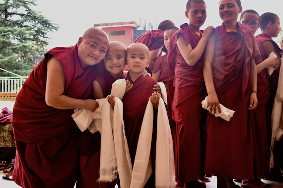 Tibetan Buddhist nuns at Geden Choeling Nunnery in Dharamsala