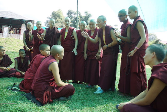 monastic debate, Tibetan Buddhist nuns debating, Buddhist debate