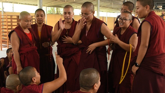 Tibetan Buddhist nuns debating 2025