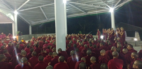 Tibetan Buddhist nuns debating at Dolma Ling Nunnery by Steve Wilhelm