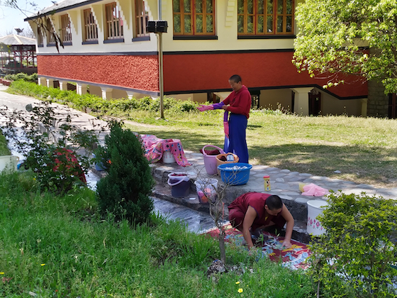 Tibetan Buddhist nuns do laundry