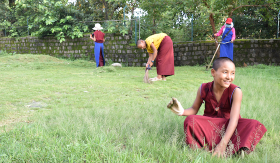 Tibetan Buddhist nuns gardening at Shugsep Nunnery 2020