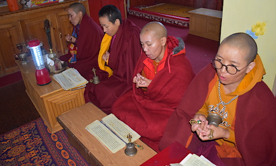 Tibetan Buddhist nuns in Spiti praying