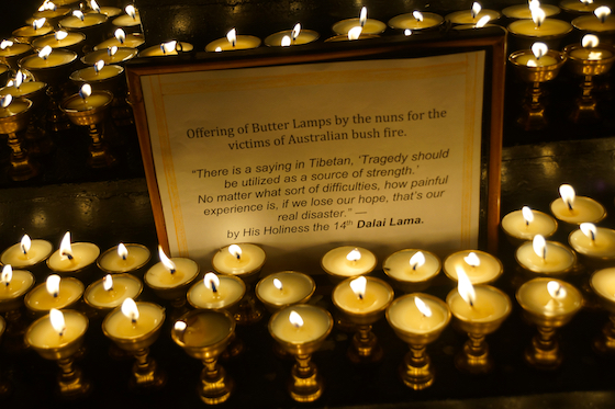 Offering of Tibetan butter lamps for victims of Australian bush fires