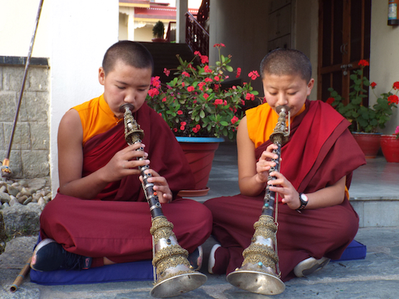 Tibetan Buddhist nuns playing a Tibetan musical instrument called the gyaling