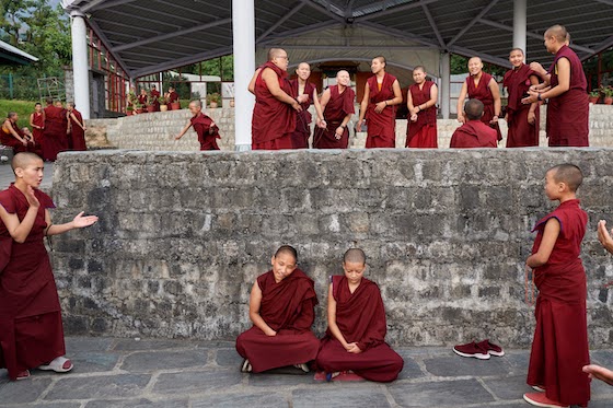 Tibetan debate, monastic debate, Dolma Ling Nunnery