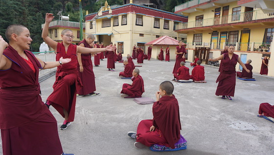 Tibetan Buddhist nuns practice debate at Geden Choeling Nunnery in Dharamsala.