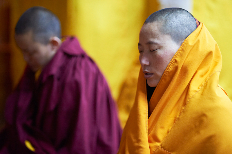 Tibetan Buddhist nuns, Tibetan Buddhist holidays, praying, Olivier Adam, Tibetan Buddhism